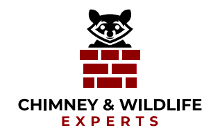 chimney and wildlife experts logo